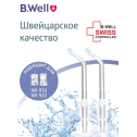 Насадка для имплантов, мостов, коронок, виниров для ирригатора WI- 922 и WI-933  (2 шт.) B.Well 