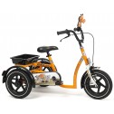 Трехколесный велосипед для мальчиков Vermeiren Safari