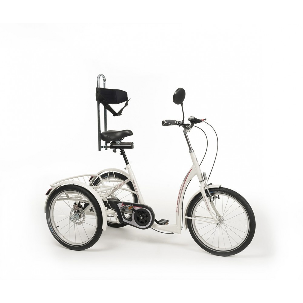 Трехколесные велосипеды ИЖ-БАЙК для взрослых - купить в интернет-магазине c доставкой