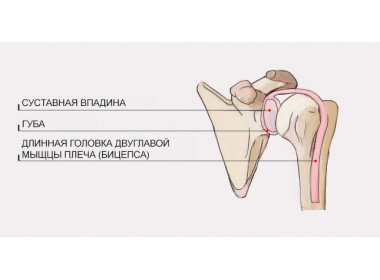 Повреждение суставной губы плеча