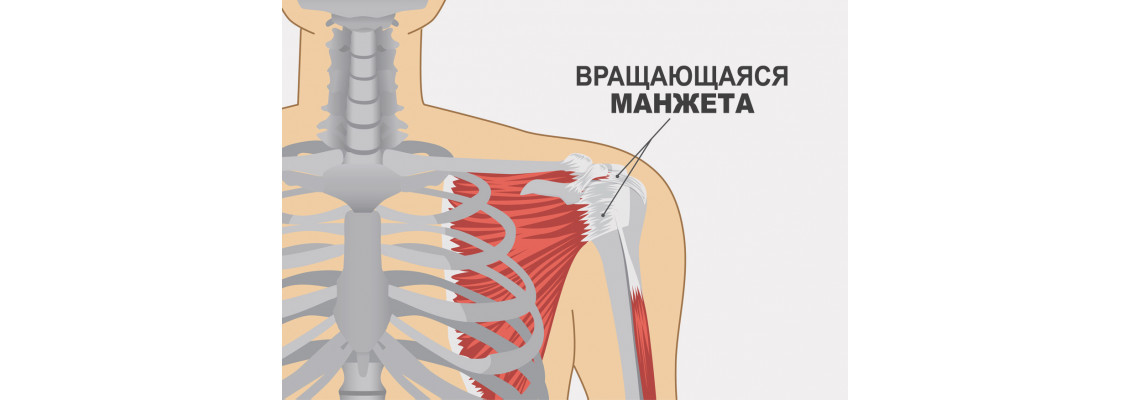 Травма вращательной манжеты плечевого сустава