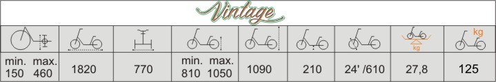 Технические характеристики велосипеда для взрослых и детей с ДЦП Vermeiren Vintage